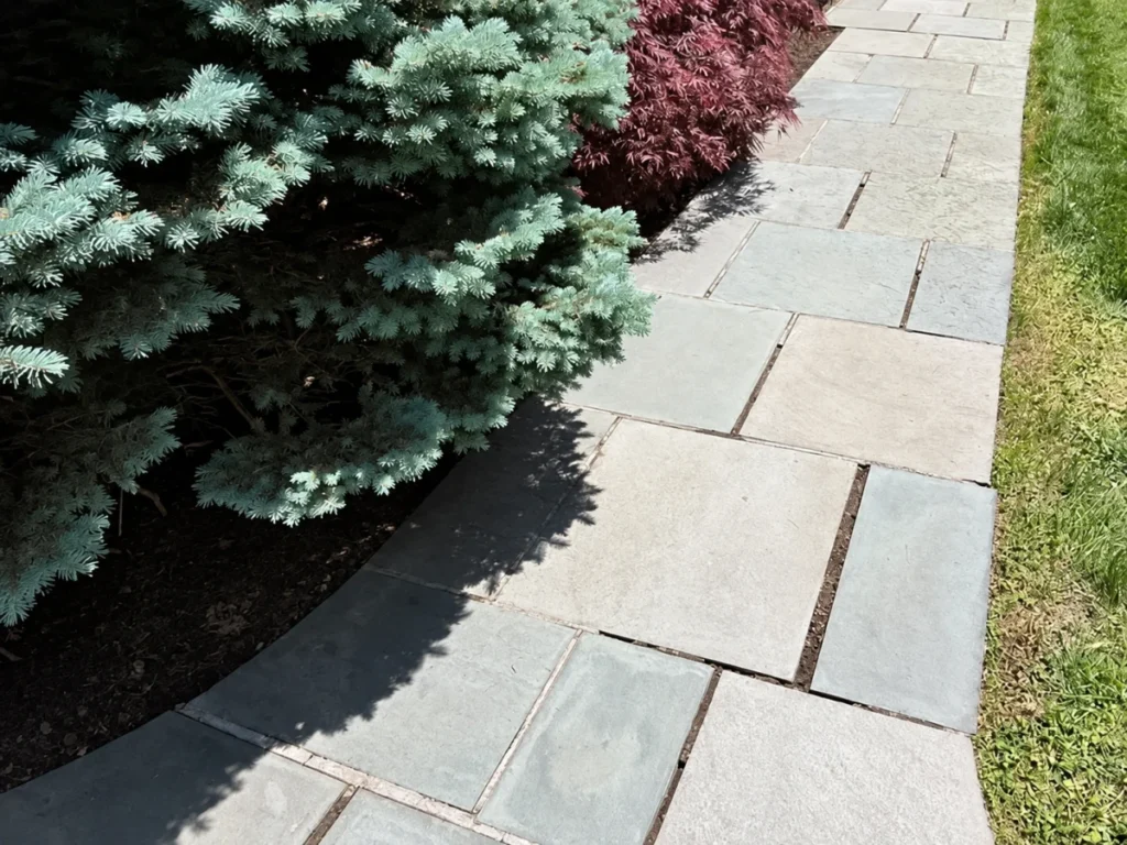 Landscaped walkway leading through the grounds of a residential property
